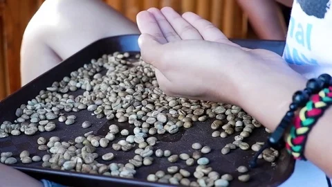 Woman is sorting coffee beans. Video stock 123139370
