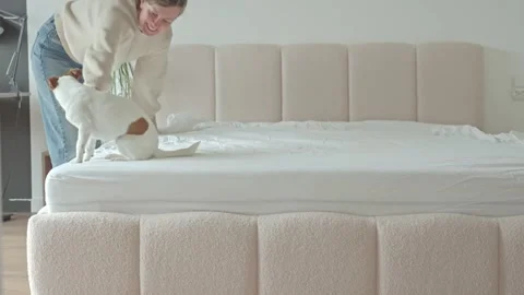 Woman spreads sheet on bed while dog runs across mattress in bedroom Stock Footage 332811505