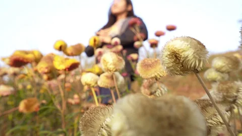 Woman stand feeling good while flower in front camera panning Stock Footage 128984611