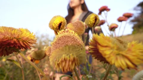Woman stand feeling good while flower in front camera panning Stock Footage 128984710