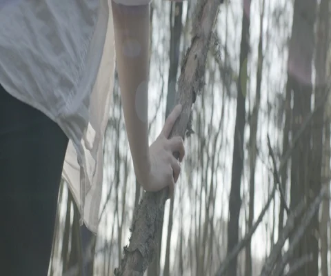 Woman standing with the support of a tree trunk in the forest Stock Footage 110364732