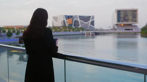 Woman standing at waterfront railing using smartphone viewing modern Stock-Footage 335782181