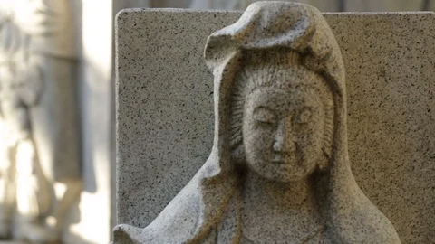 Woman Statue Stock Footage 104780259