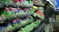 Woman Stocking Lettuce In Produce HD Footage