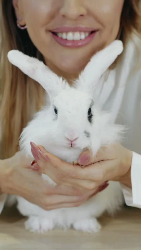 A woman stroking a white Easter bunny. Stock Footage 303621817