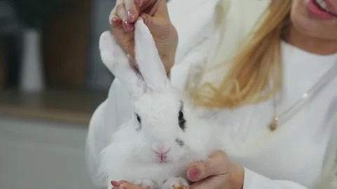 A woman stroking a white Easter bunny. Stock Footage 303621854