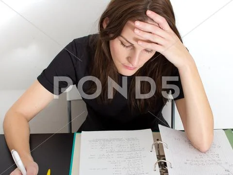 Woman studying Stock Photos