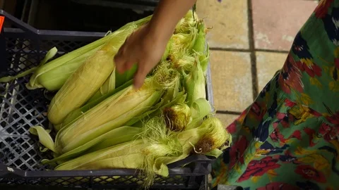 A woman in a supermarket on a vegetable shelf, buys vegetables and fruits. Man Stock Footage
