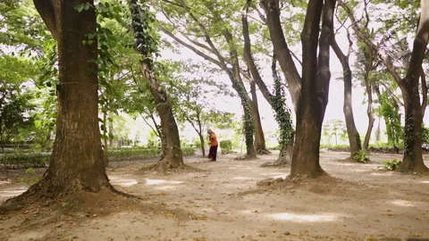 Woman Sweeping fallen leaves using broom In Garden with full of tropical trees Stock Footage 248094718