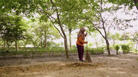 Woman Sweeping fallen leaves using broom In Garden with full of tropical trees Video stock 248095151