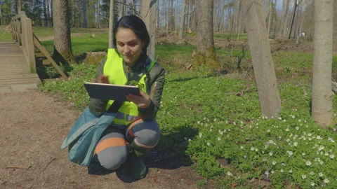 Woman with tablet PC exploring flowers in public park Stock Footage 337622649