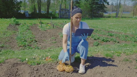 Woman with a tablet PC is preparing to plant onions Stock Footage 337622971