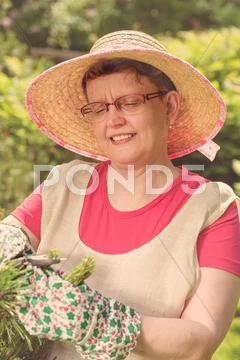Woman take care of the garden Stock Photos
