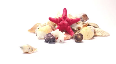 Woman Take a Shell 4K Stock Footage 47178340