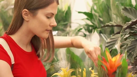 Woman takes closer look at array of indulging flowers before picking up pot to Video stock 77995852