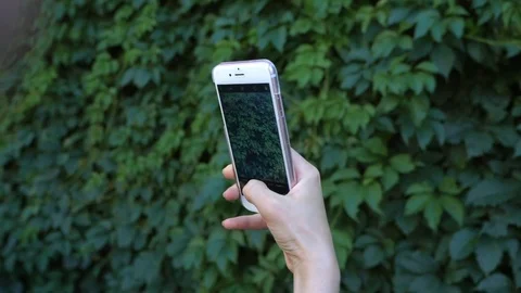 Woman taking photo with mobile smartphone in park foliage background Stock Footage