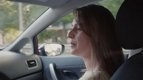Woman talking with the driver Stock Footage 72293408