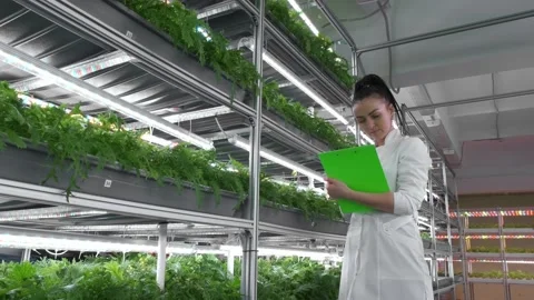 Woman technologist making notes about microgreens Vidéo 175804440