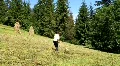 Woman ted the hay HD Footage
