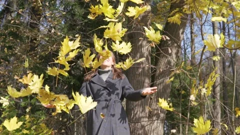 A woman throws a bunch of yellow maple leaves up in an autumn park Stock Footage 162234936