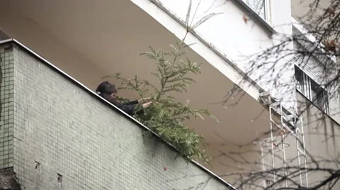 Woman Throws a Tree off Balcony Video stock 10594800