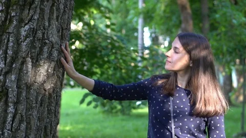 Woman touching the bark Stock Footage 81243701