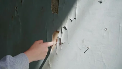 Woman touching peeling plaster on deteriorating wall surface Stock Footage 342087717