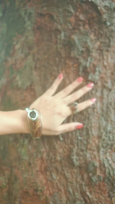 Woman touching rough tree bark with a ringed hand Stock Footage 346502540