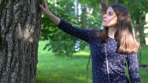 Woman touching the tree Stock Footage 81243606