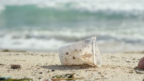 Woman trample on a disposable plastic cup discarded on sea ecosystem,pollution Stock Footage 154639054