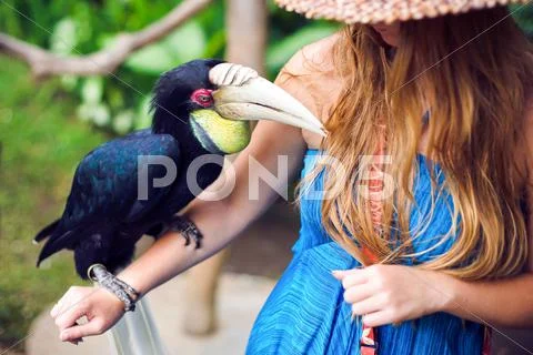 Woman In A Tropical Jungle With Tropical Bird On The Hand In Bali