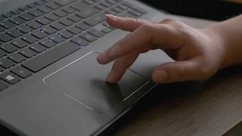 Woman Typing on a Computer Stock Footage 113633150