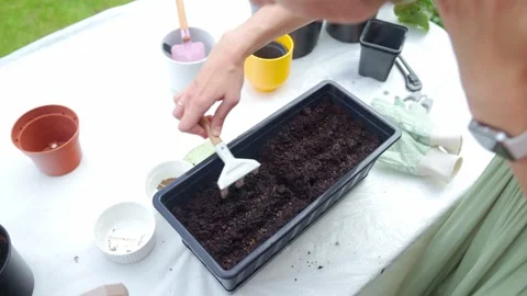 Woman uses hand rake on dark soil with scattered seeds in planter box Stock Footage 337657867