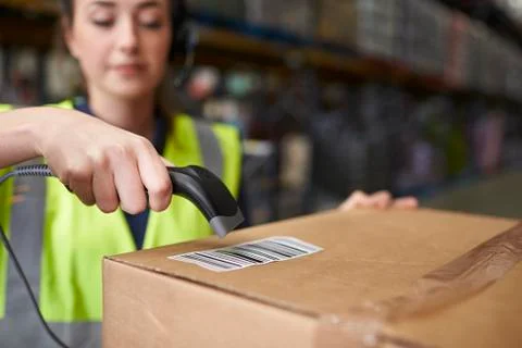 Woman using barcode reader on a box in a warehouse, detail Stock Photos
