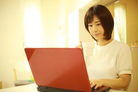 Woman using a computer Stock Photos