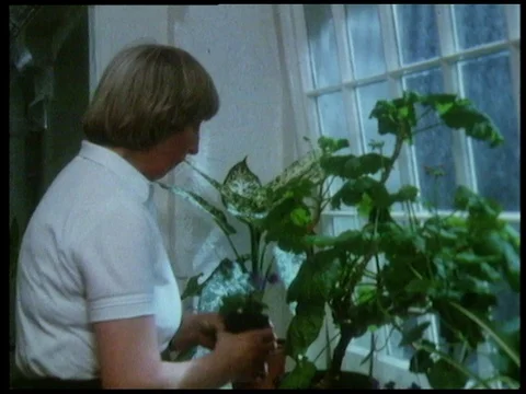 Woman using computer technology to diagnose her plant disease at home, 1985 Stock Footage 136675616