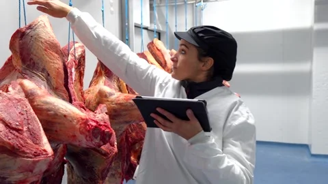 Woman using digital tablet inspecting meat in cold storage room Stock Footage 293501355