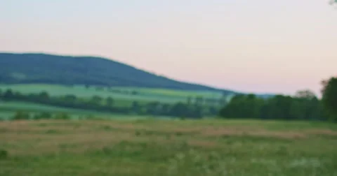 Woman using digital tablet making photos outdoors. Social networking. 스톡 동영상 50994933