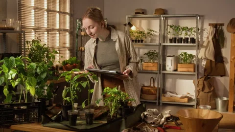 Woman Using Digital Tablet for Smart Gardening and Plant Care Stock Footage 338394510