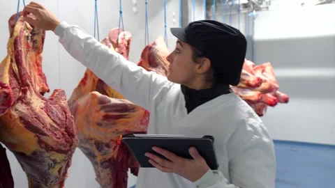 Woman using digital tablet working in a meat processing factory Stock Footage 293501359