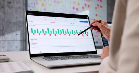 Woman Using Expense Tracker App On Computer For Budget Management. Accountant Stock Photos