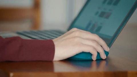 Woman Using Laptop Computer For Internet Shopping Stock Footage 86057661