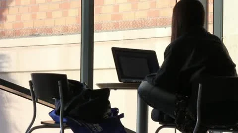 Woman Using Laptop Stock Footage 11448969