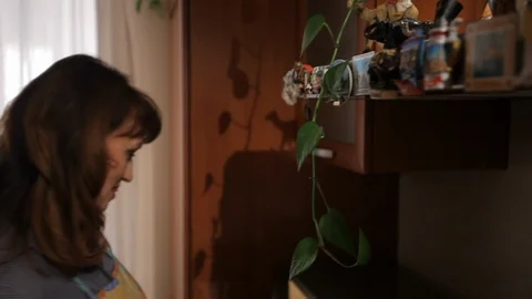 Woman using a microwave in the kitchen Video stock 100598437