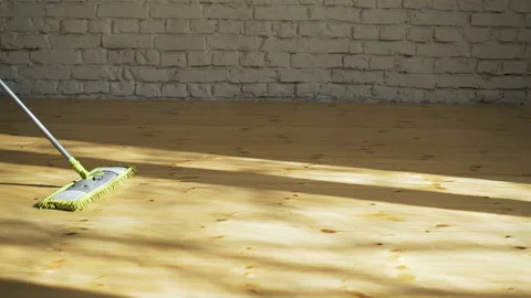 Woman using mop cleaner to do household chores faster Stock Footage 88031301