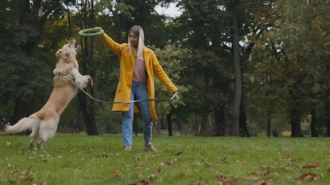 Woman using rubber puller for training her dog at park Stock Footage 170316445