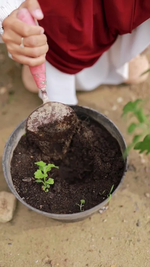 A woman using a small trowel to mix organic soil in a black planting pot. Stock Footage 346013500