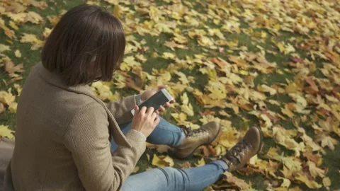 Woman using smart phone while sitting on grass in autumn park during sunny day Stock Footage 132286956
