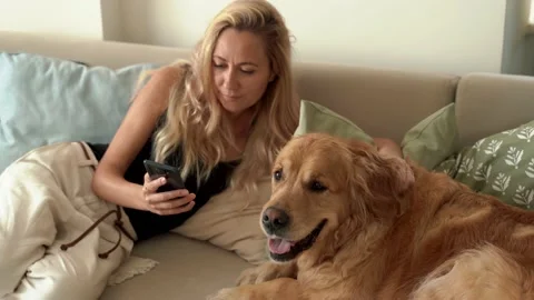 Woman using smartphone while sitting with her adorable golden retriever dog Stock Footage 213529406