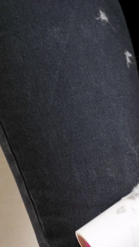 Woman using sticky lint remover roller for cleaning black pants from cat or dog Stock Footage 342905209